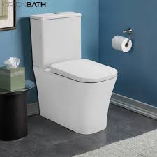 Toilet Bowl
